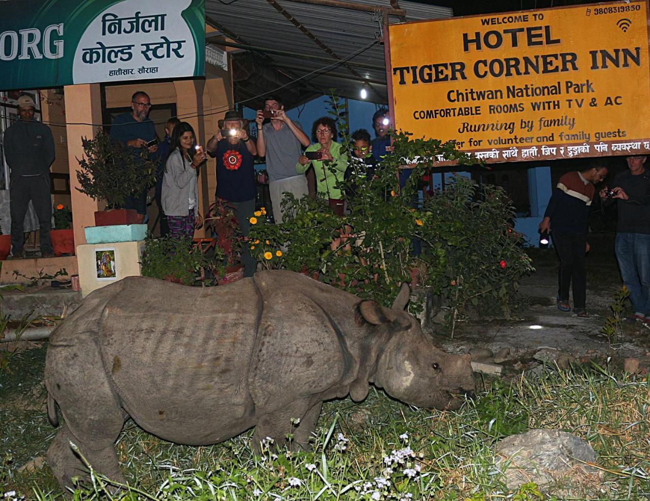 Tiger Corner Inn Sauraha Eksteriør billede