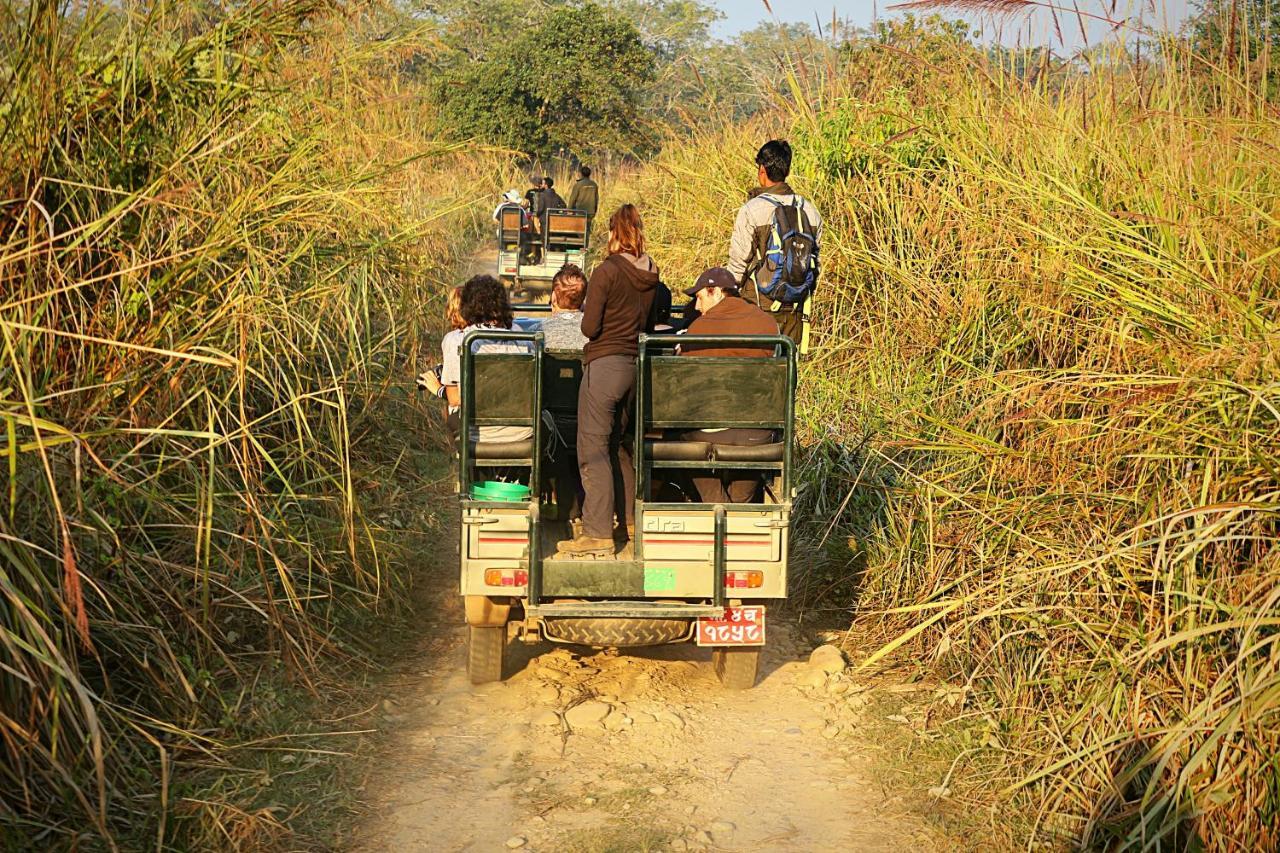 Tiger Corner Inn Sauraha Eksteriør billede